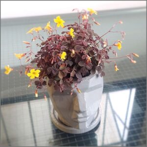 01-06