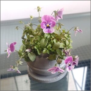03-02
